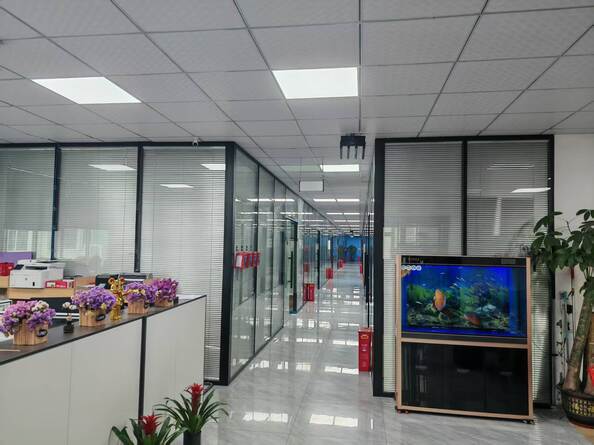 Shenicy Co., Ltd