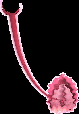 Rose Teaser Vibrator with 10 Vibration Patterns IPX7 Waterproof and ≤45dB Noise Level