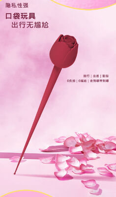 Rose Teaser Vibrator with 10 Vibration Patterns IPX7 Waterproof and ≤45dB Noise Level