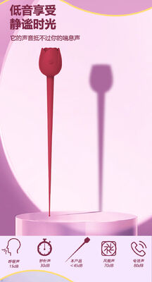 Rose Teaser Vibrator with 10 Vibration Patterns IPX7 Waterproof and ≤45dB Noise Level
