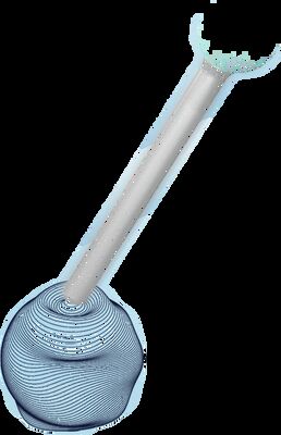 10 Vibration Patterns Silicone Mini Crown Vibrator 90mAh Waterproof With DC Charging